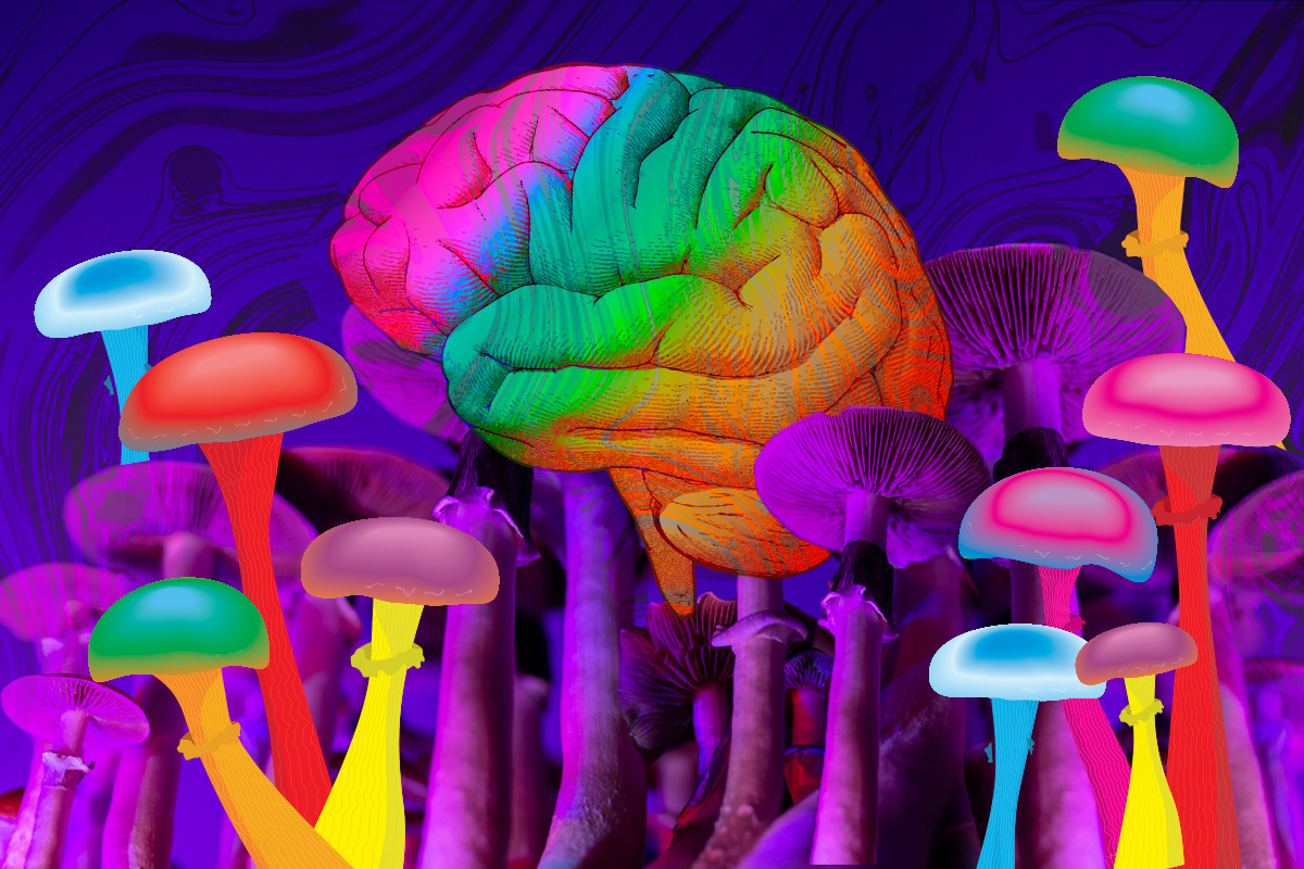 Magic Mushrooms Can Help Cure Depression and Help With Anxiety