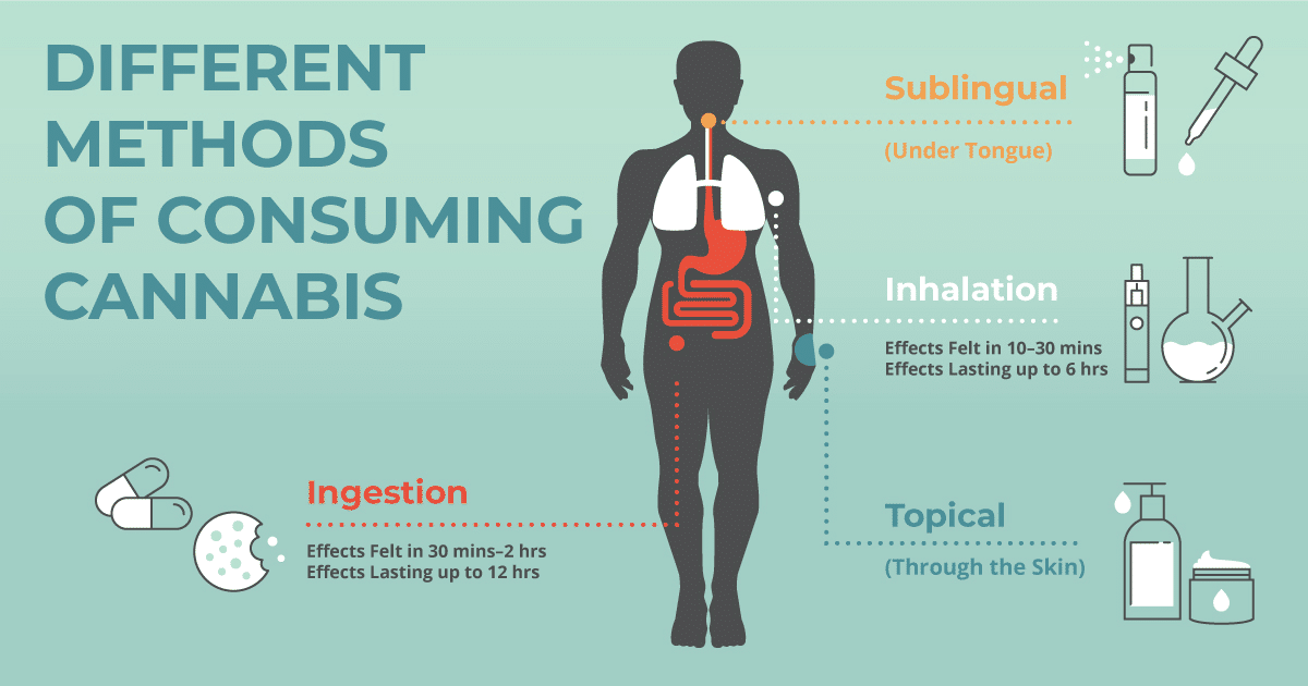 Illustration showcasing different methods of consuming cannabis, including ingestion, sublingual application, inhalation, and topical use, with respective onset times and durations.