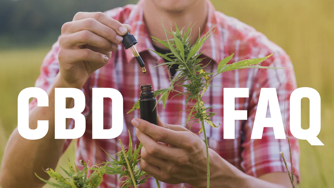 Farmer holding a CBD oil dropper near hemp plants in an outdoor field