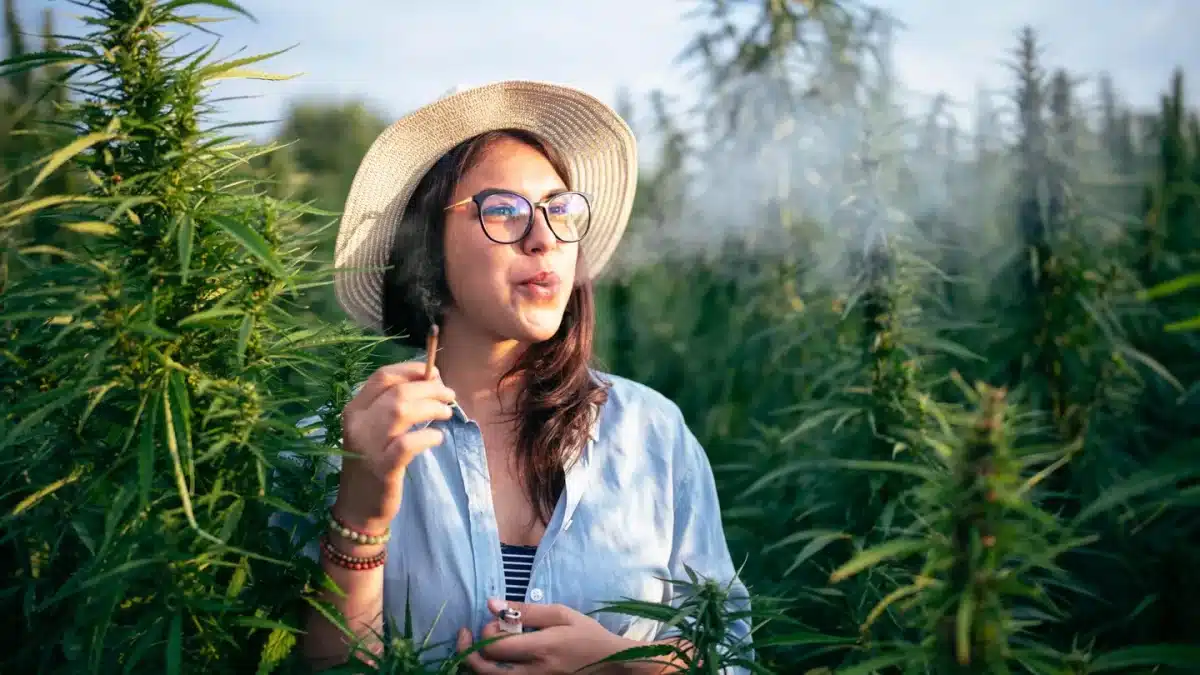 A woman smoking a hemp joint in a lush cannabis field during the daytime, surrounded by green hemp plants.