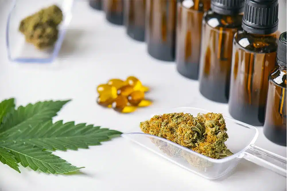 A display of cannabis products, including CBD oil tincture bottles, hemp flower buds, soft gel capsules, and a fresh hemp leaf.