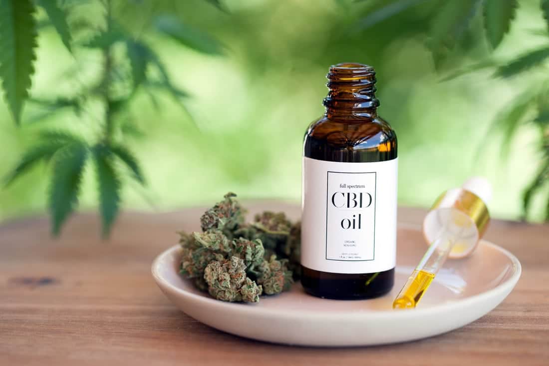 Full-spectrum CBD oil bottle on a plate with hemp buds and a dropper, set against a natural green background.