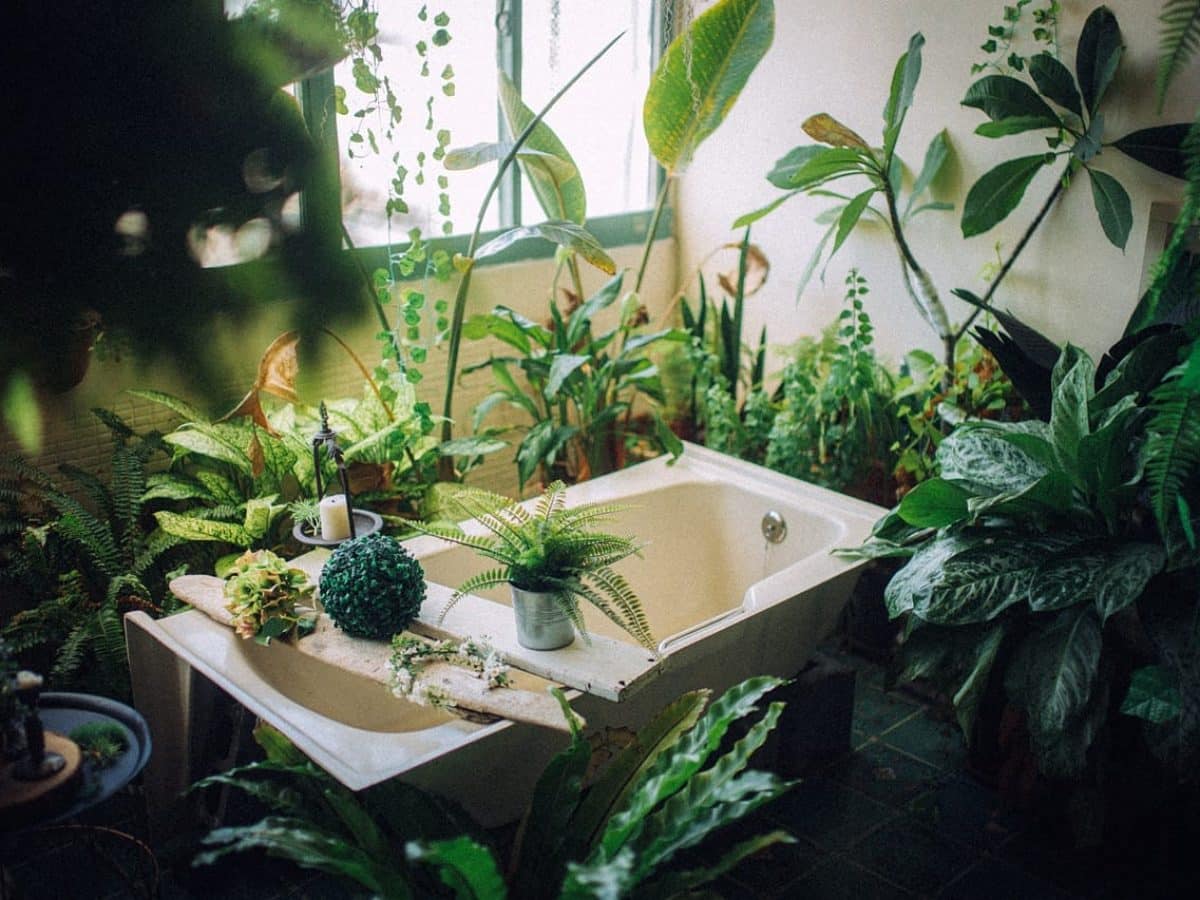 Serene bathroom with a white bathtub surrounded by lush green plants, including ferns, vines, and potted greenery, near a window with natural light.