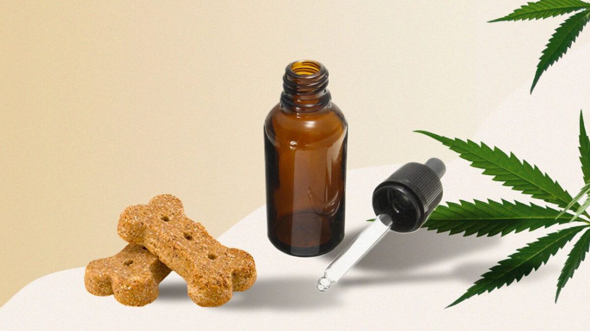 CBD oil dropper bottle with pet treats and a cannabis leaf on a neutral background