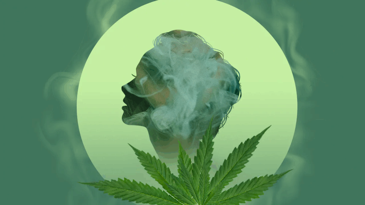 Silhouette of a human head surrounded by smoke and a cannabis leaf, symbolizing the endocannabinoid system