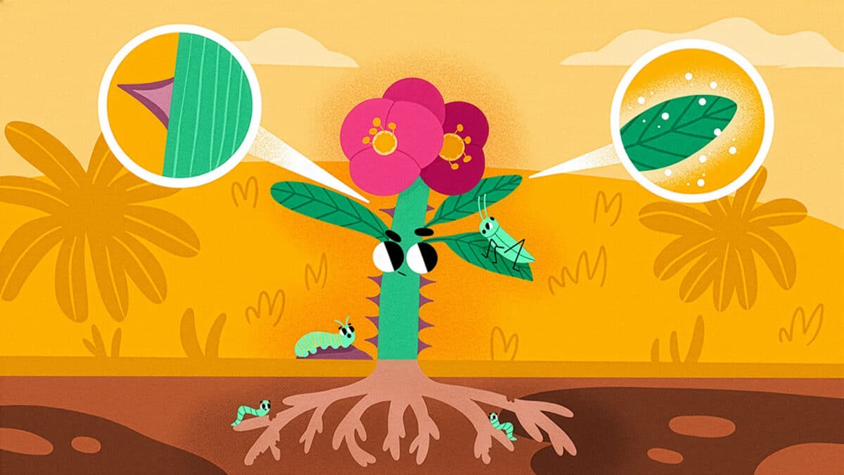 Diagram showing diverse plants—hemp (cannabis), coffee, cacao, mushrooms—highlighting natural chemical defense and psychoactive compound diversity